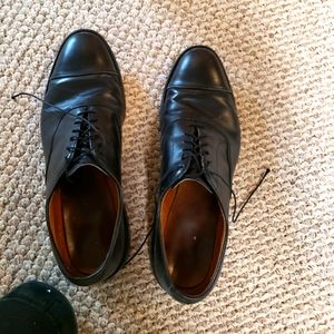 Allen Edmond Park Avenue 12 D